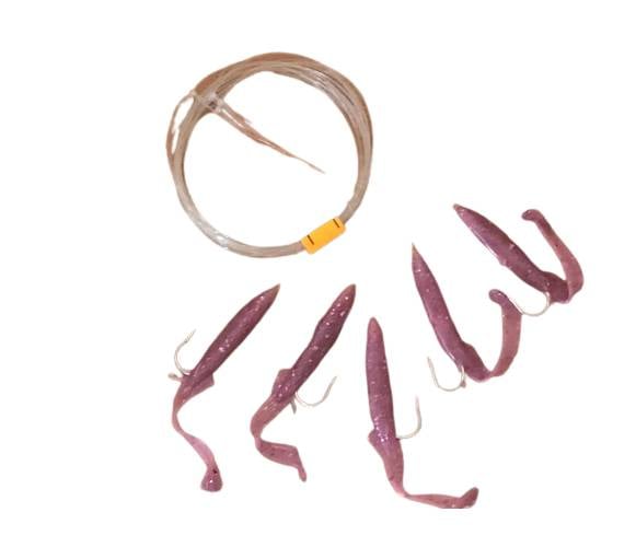 Ragotlu  Silikon Çapari 5'li * 6,5cm